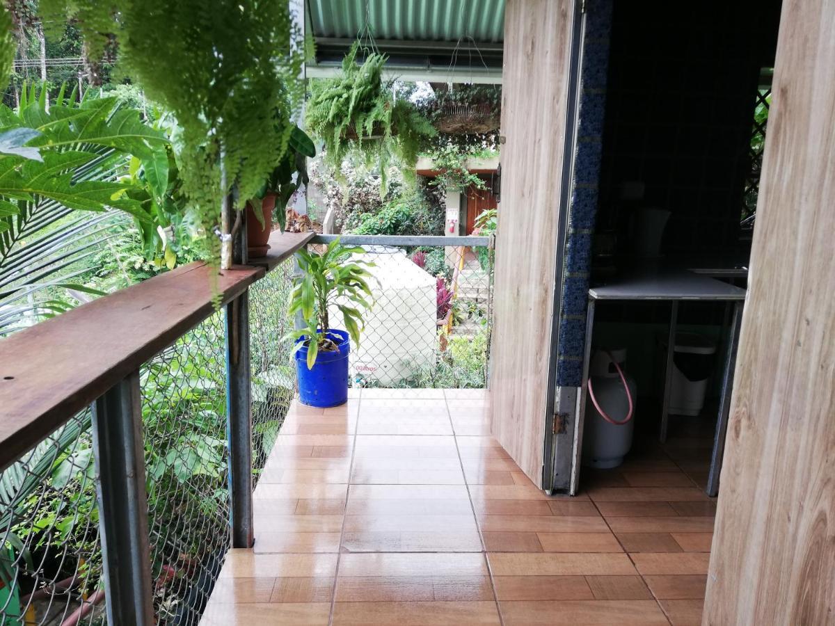 Casita Tangara Con Balcon Y Agua Caliente Apartment Drake Bay Room photo